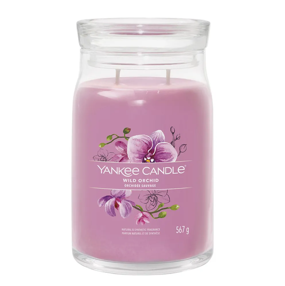 Bougie jarre parfumée Orchidée sauvage 100h